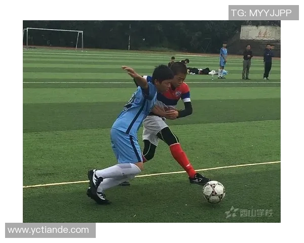 刘强独家揭秘:深入解析足球技巧与战术心得分享